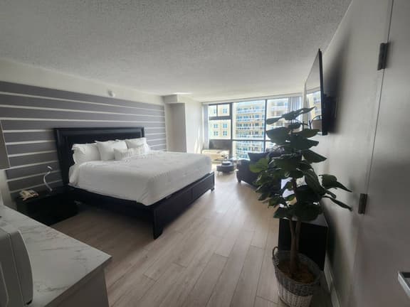 Stunning Deluxe King Studio - Image 1